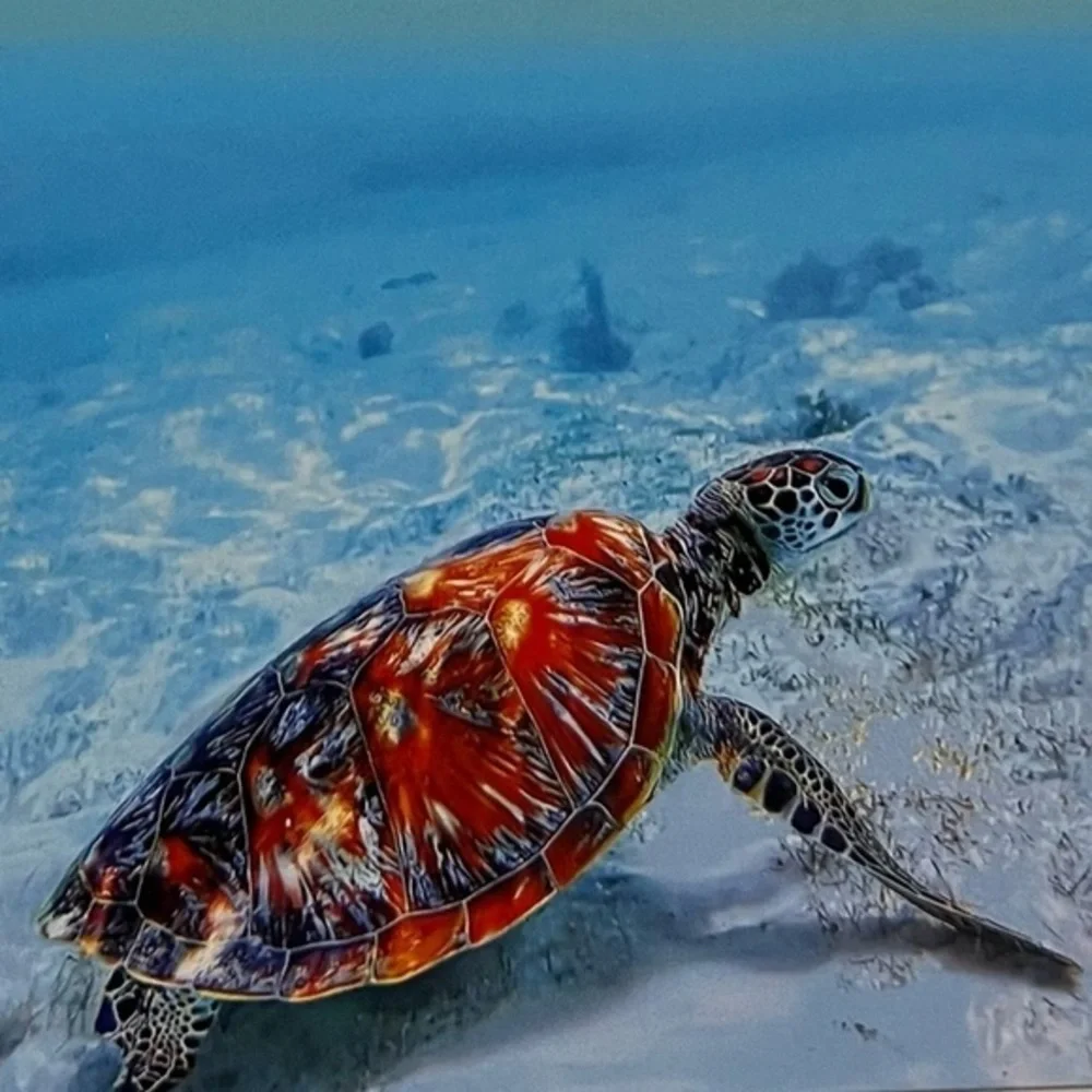 Whitley Willows Sea Turtle Print Packable Microfiber Travel Yoga Towel New